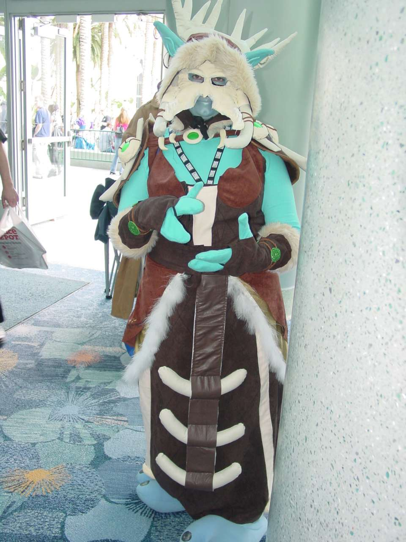 Illustration for article titled BlizzCon 2010 Cosplay Blowout Part Two: Trolling For Chicks